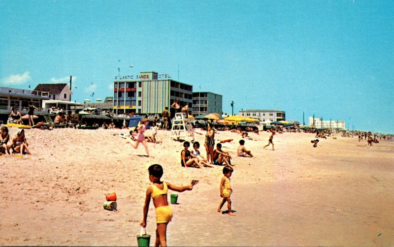 Delaware Rehoboth Beach Greetings Showing Beach