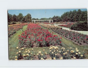 Postcard Reinisch Rose Garden, Gage Park, Topeka, Kansas