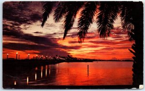 Postcard - Florida Sunset - Florida