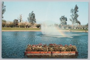 Beautiful Lagoon & Fountain @ The National Orange Show~San Bernardino CA~Vtg PC