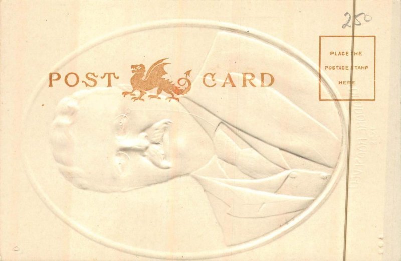 PRESIDENT ROOSEVELT POLITICAL EMBOSSED POSTCARD (c. 1906)