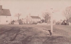 Felsham Village Green Bury St Edmunds Suffolk Antique Postcard