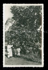 RPPC Priest and Young  Boys by Bread Tree Cameroun  Real Photo Postcard B3344