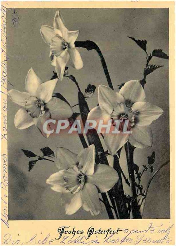 Modern Postcard Frohes Osterfest Flowers