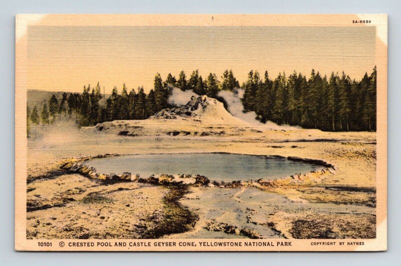 Yellowstone National Park Wyoming Crested Pool Castle Geyser Cone Linen Postcard 