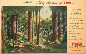 1940s TWA Airline Advertising Muir Woods California Postcard linen 21-13934 