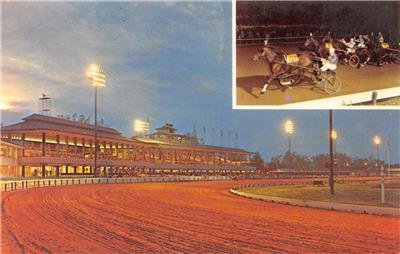 SARATOGA RACEWAY Horse Race Track Harness Racing NY ca 1950s Vintage Postcard