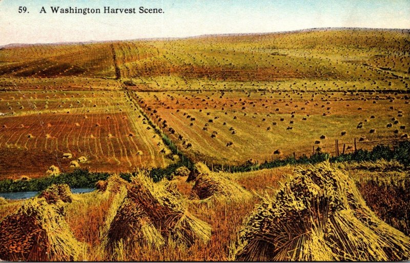 Washington Typical Harvest Scene