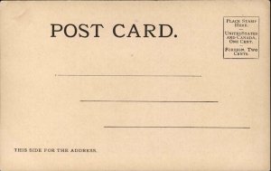 Superior WI Ore Docks c1905 UDB Postcard 