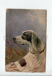 3156965 HUNT Dog ENGLISH SETTER by MULLER Vintage Broili PC