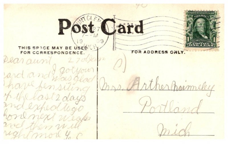 Horse , Crossing the stream