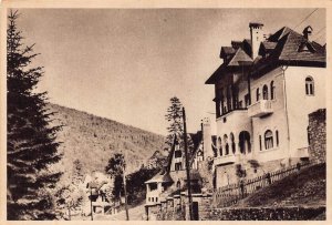 Romania Sinaia Statiune Climaterica Winter Resort vintage postcard