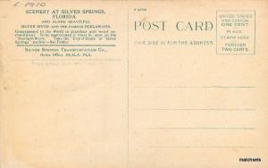 C-1910 Seeing Silver Springs Glass Bottom Boats Scenery FLORIDA postcard 2229 