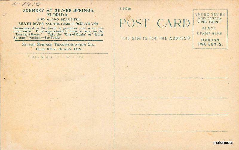 C-1910 Seeing Silver Springs Glass Bottom Boats Scenery FLORIDA postcard 2229 