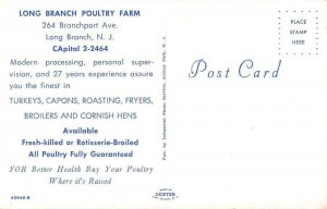 Long Branch New Jersey Long Branch Poultry Farm Vintage Postcard AA37003