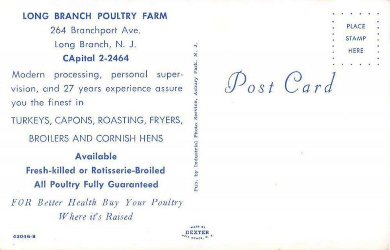 Long Branch New Jersey Long Branch Poultry Farm Vintage Postcard AA37003
