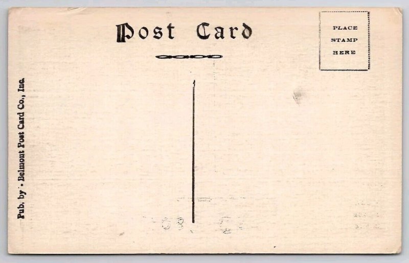 Chillicothe OH Edgewater Camp The Road Ohio c1930 Postcard F46