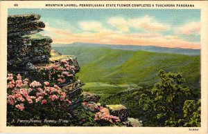 Postcard PANORAMIC SCENE Tuscarora Pennsylvania PA AO4682