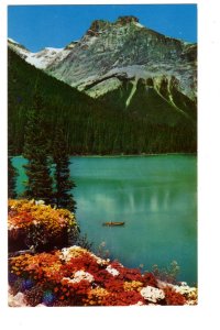 Michael Peak, Emerald Lake Field, British Columbia