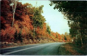 Tree Lined Streets of Naicam Saskatchewan Canada in Fall Postcard