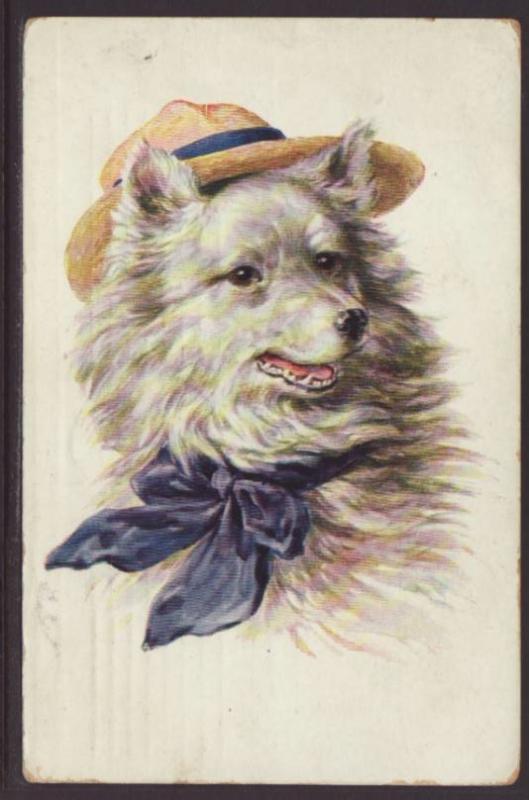 Dog In Hat Postcard 