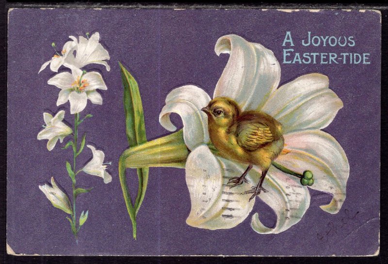 Easter Lilies BIN