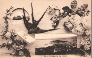 Vintage Postcard 1910's Souvenir De Nice Brid Flowers Beautiful Places France FR
