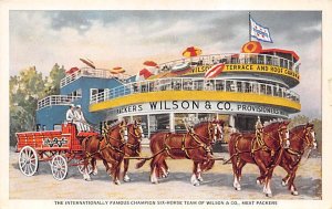 Champion Six-Horse Team of Wilson & Co, Meat Packers Clydesdale Team Unused p...