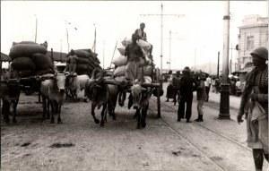 RPPC Vintage Postcard Ox Drawn Carts Market India? KJ5