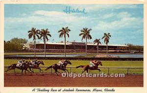 Thrilling Race at Hialeah Racecourse Miami, Florida, FL, USA Horse Racing 196...