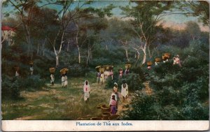 India Plantation de The aux Indes Vintage Postcard 09.94