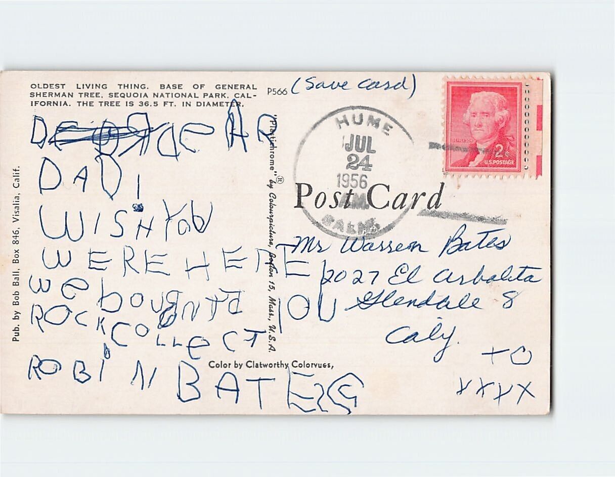 Postcard Base Of General Sherman Tree, Sequoia National Park ...