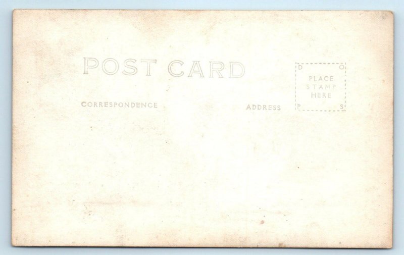 RPPC REDWOOD HIGHWAY, CA ~ QUADRUPED TREE' c1930s Car Patterson  Postcard