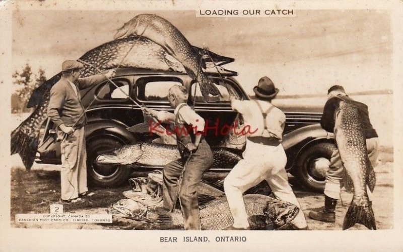 Postcard RPPC Loading Our Catch Bear Island Ontario Canada Exaggeration