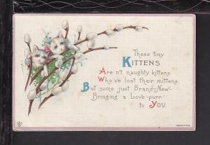 Kittens,Pussy Willows BIN 