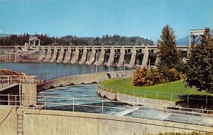 Fish Ladder, Bonneville Dam Portland, Oregon OR