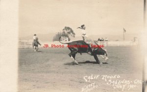 CA, Salinas, California, RPPC, Cowboy Riding Bull at 1920 Rodeo, Estey Photo