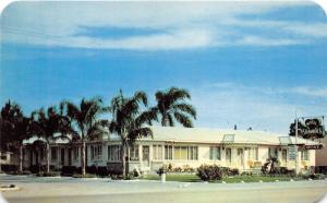 St Petersburg Florida~Motel Shamrock~Neon Office Sign~1950s Postcard