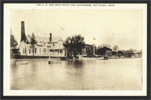 Put-in-Bay OH U.S. and Ohio State Fish Hatcheries 1910s White Border Postcard