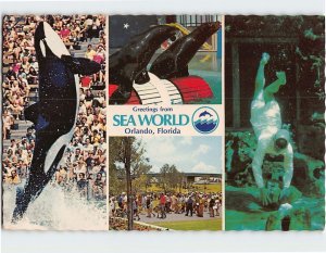 Postcard Greetings from Sea World Orlando Florida USA