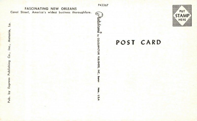 1950's Canal Street Trolley Car Tracks Woolworths New Orleans Postcard 2R3-215 