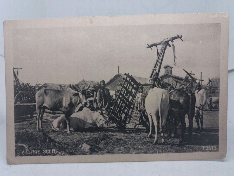 Village Scene Villagers with Cattle Calcutta India Vintage Postcard c1910