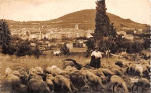 BR10004 Manosque Generale  sheep mouton  france