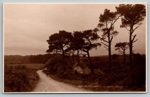 RPPC On the Road to Lulworth  England United Kingdom  Real Photo  Postcard