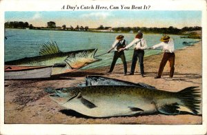 Fishing Exageration Men With Giant Fish A Day's Catch Here Can You Beat ...