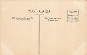 St Simons Island Georgia GA~Lighthouse~Fleming & Bryant Albertype Postcard