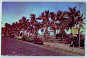 c1960 Miami Beach Florida FL Postcard Coconut Palms Lummus Park Fringe Shoreline