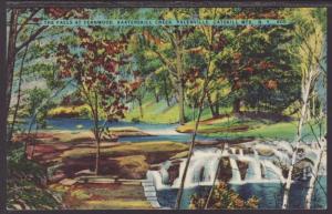 Falls,Kaaterskill Creek,Palenville,NY Postcard 