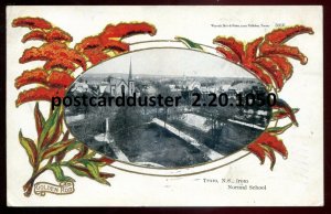 1050 - TRURO NS Postcard 1906 View from School. Golden Rod Border by Warwick