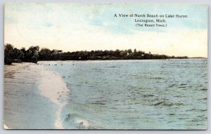 1910s North Beach Lake Huron Lexington Michigan Resort Town View Posted Postcard